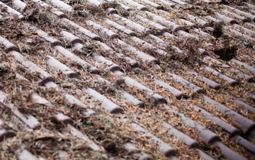 Bedfordshire roof cleaning companies